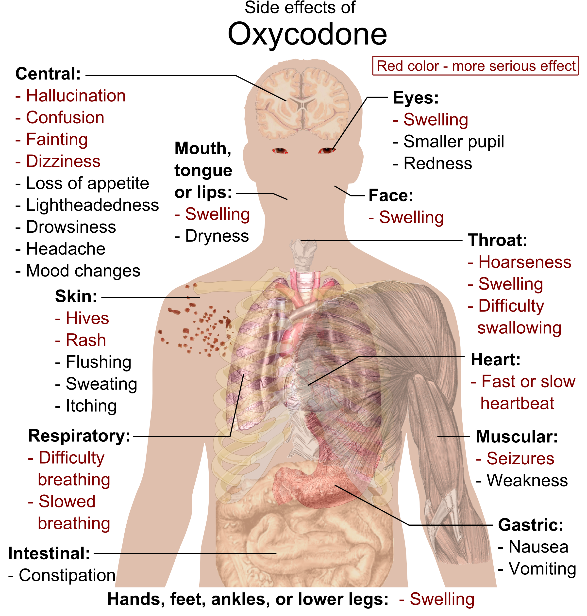 Side Effects Of Oxycodone - Cat Drug Side Effects (2382x2520), Png Download