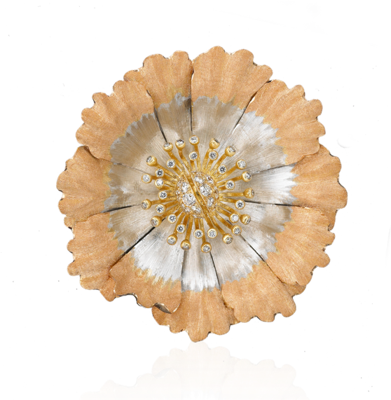 Jewellery (570x570), Png Download
