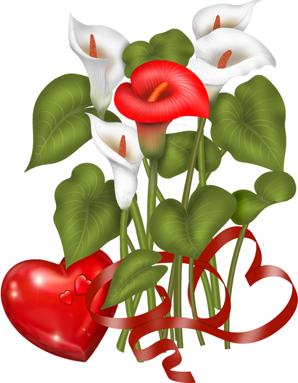 Valentine's Day Flowers - Anthurium (598x767), Png Download