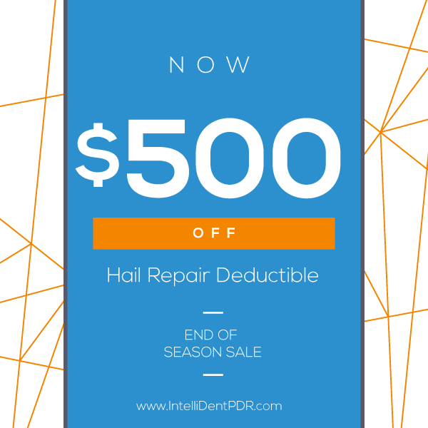 Denver Hail Repair Coupon - Envirowise Pest Solutions (600x600), Png Download