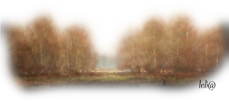 Wood (753x753), Png Download