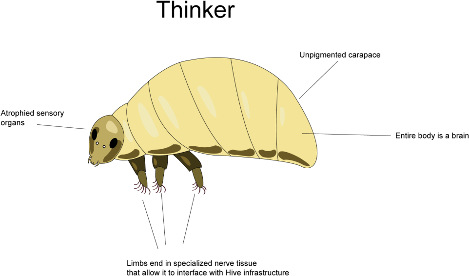 Thinker - Bee (1024x673), Png Download