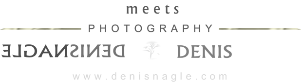 It Was During This Storm That A Gust Of 124 M - Crescent (705x238), Png Download