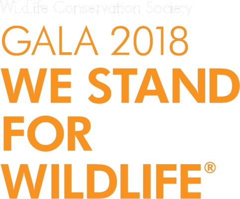 One Page Site - Don T Understand Anything (482x400), Png Download