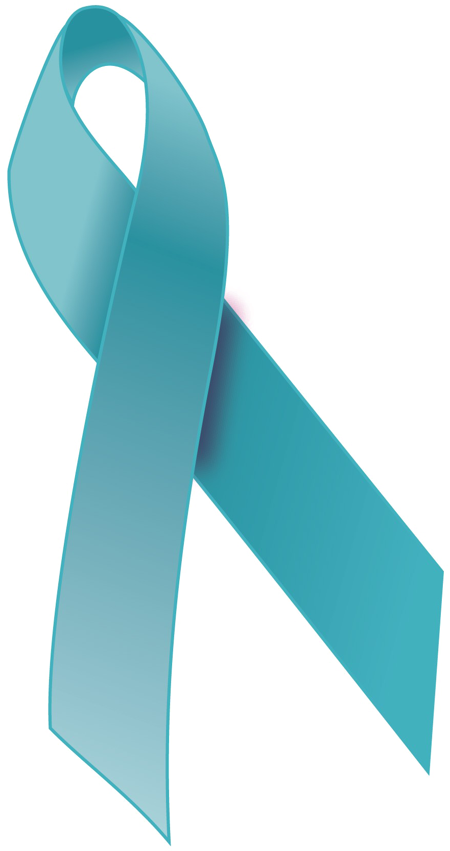 Turquoise Ribbon Png Download Image - Ovarian Cancer Ribbon Png (1050x1717), Png Download