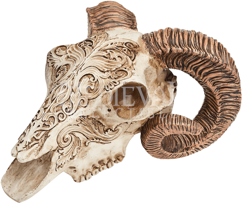 Item - Ram Skull (850x850), Png Download