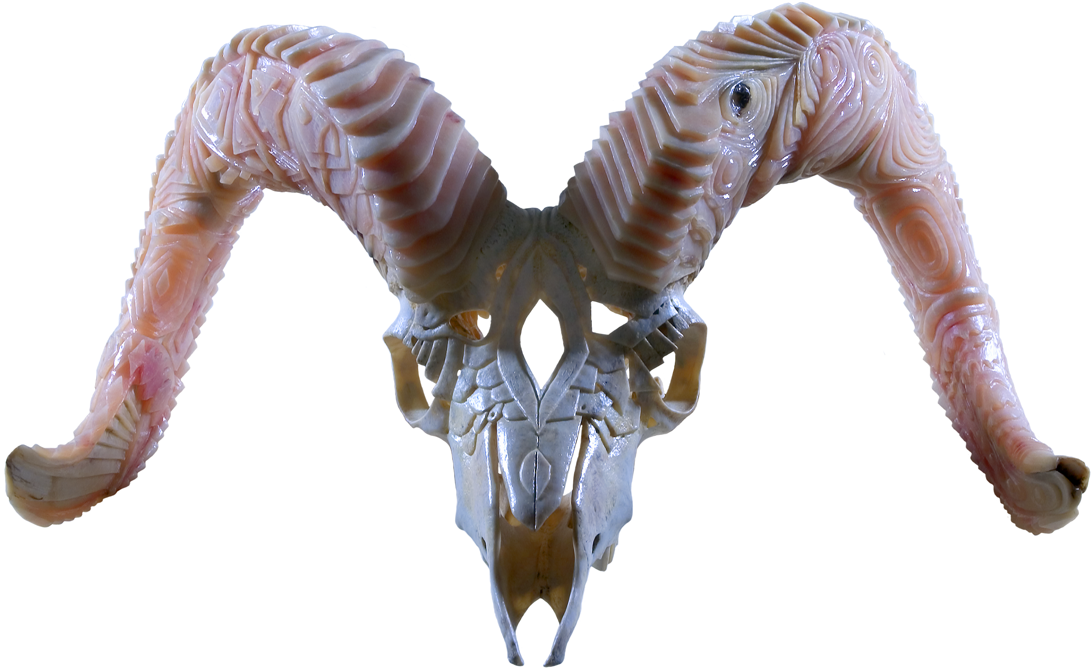 Dall Sheep Duality - Lesothosaurus (2296x1440), Png Download