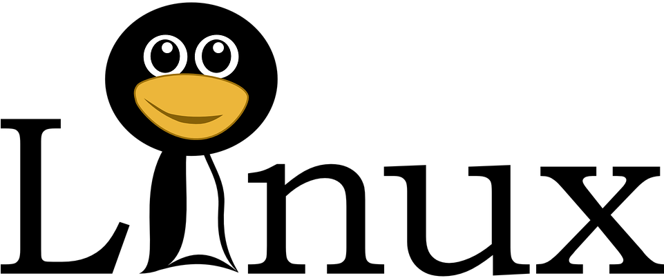 Difference Between Linux And Ubuntu - Sistema Operativo Linux Logo (960x480), Png Download