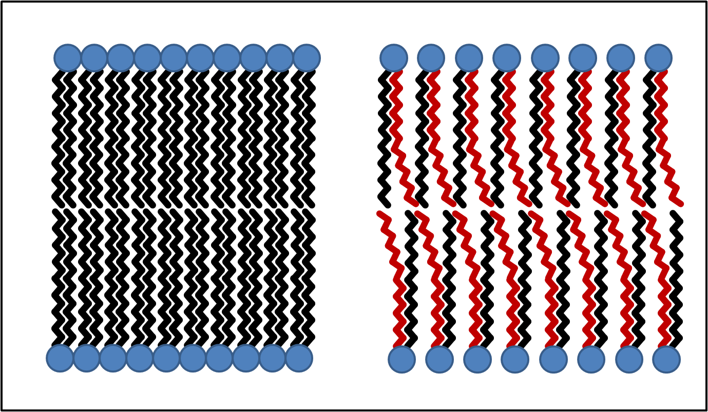 The Diagram Below Shows How The Phospholipids Group - Trans Fatty Acid Membrane (1379x803), Png Download