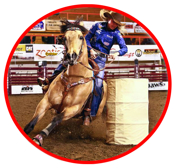 20% Gratuity Will Be Added To All Bottle Service Reservations - Barrel Racing Jackie Ganter (616x580), Png Download