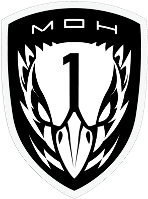 Task Force Blackbird - Medal Of Honor Warfighter Logo (300x400), Png Download