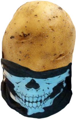 How To Conceal A Potato - Skull (285x448), Png Download