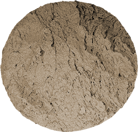 Rough Coral, Seamless Skin, 9″, Floppy - Hawaii (612x612), Png Download