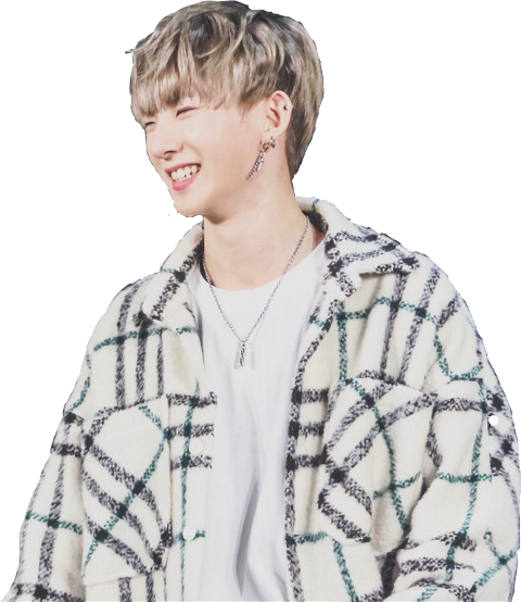 K-pop (480x554), Png Download