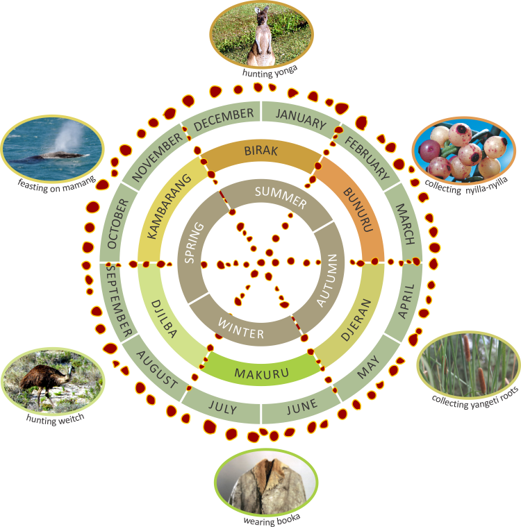 Six Wiradjuri Aboriginal Seasons (750x759), Png Download