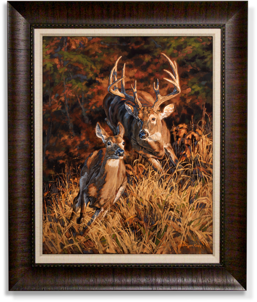 Ryan Kirby Deer Outdoor Life November Cover Canvas (1000x999), Png Download
