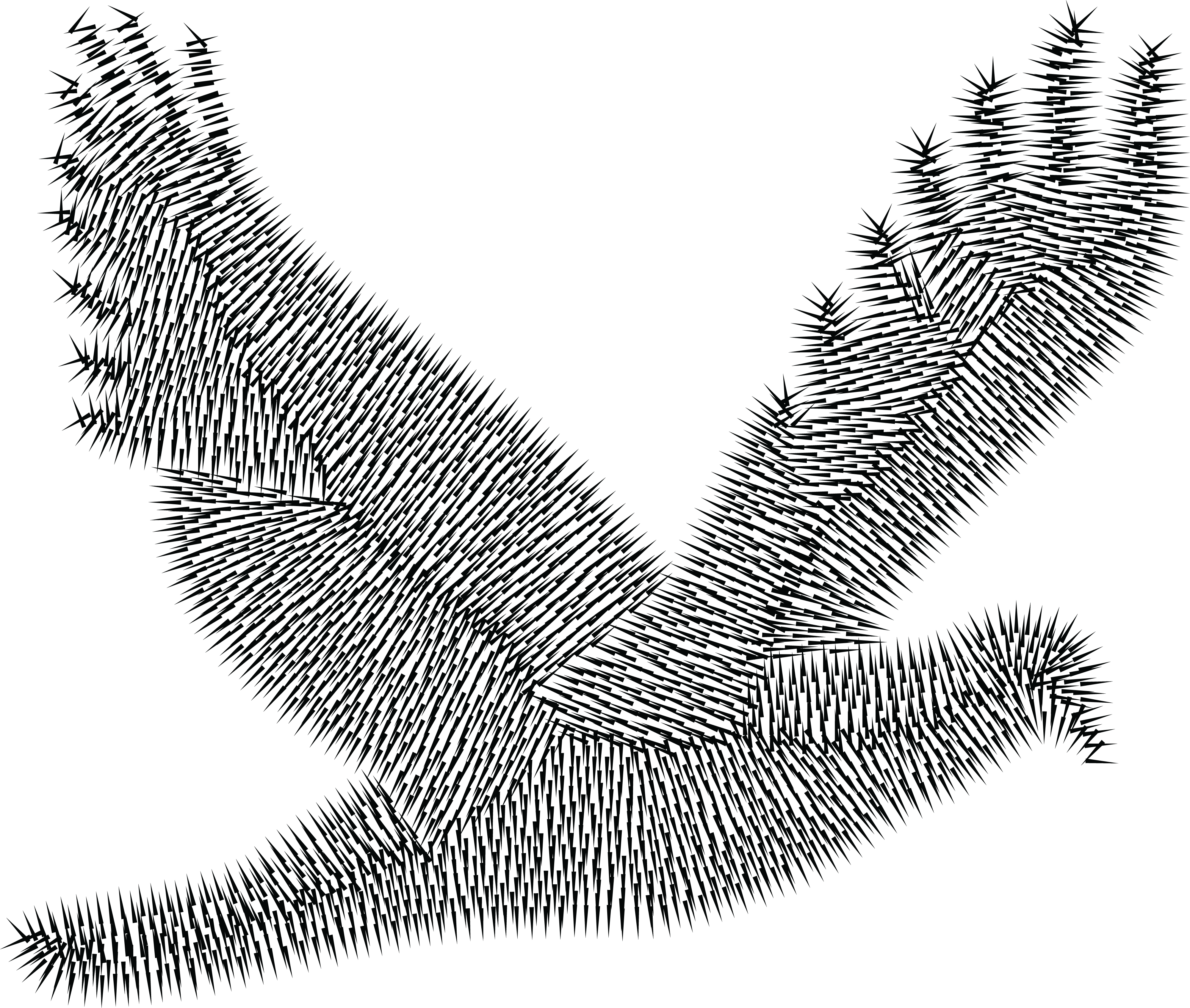, , - Clip Art (4000x3390), Png Download