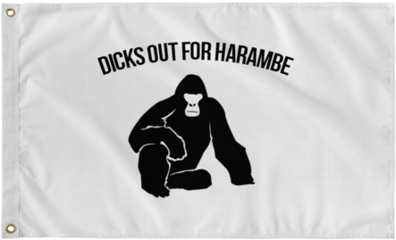 D*cks Out For Harambe - Mountain Gorilla (480x480), Png Download