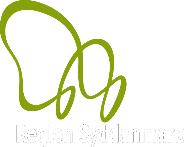 Region Of Southern Denmark (606x486), Png Download