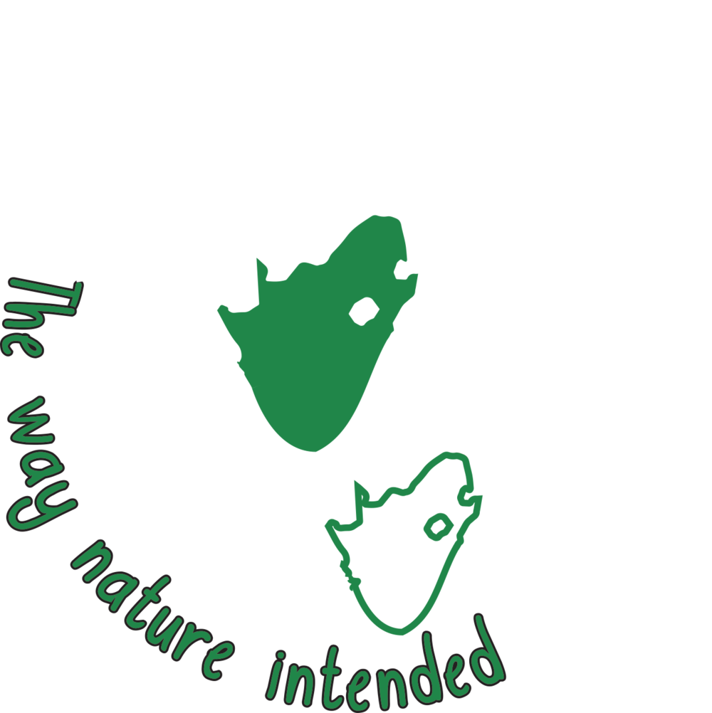 Logo White - Portable Network Graphics (1000x1002), Png Download