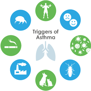 Non-allergic Asthma Would Be When Attacks Can Be Triggered - Us Healthcare Revenue Cycle Management (400x390), Png Download