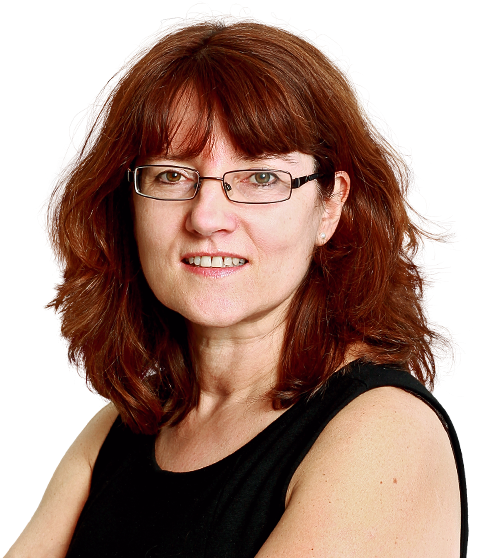 Tending The War Graves Of Gaza City - Winston Churchill Face Transparent (720x600), Png Download