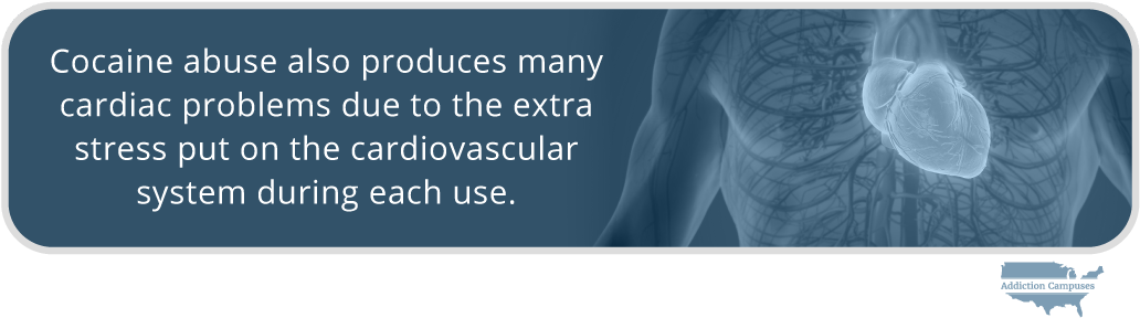 Com The Dangers Of Using Cocaine Intravenously Produces - Cocaine (1043x303), Png Download