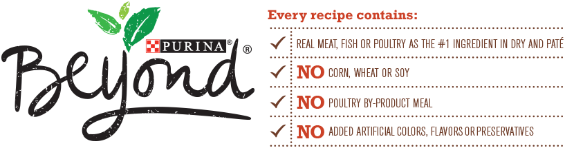 Download *hot* Purina Beyond Cat Food Deal At Target - Purina Beyond Logo  PNG Image with No Background - PNGkey.com
