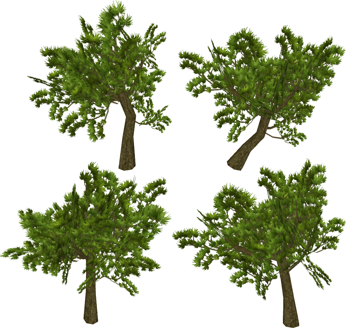 Http - //farm8 - Staticflickr - Com/7373/1260 60c4 - Arbusto De Hojas Finas De Darwin Galapagos (1108x1051), Png Download