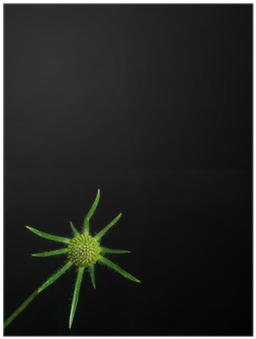 Graphics (400x400), Png Download