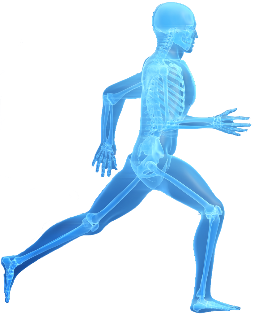 Fellowship Trained Physicians Here To Get You Back - Joint Replacement (838x1029), Png Download