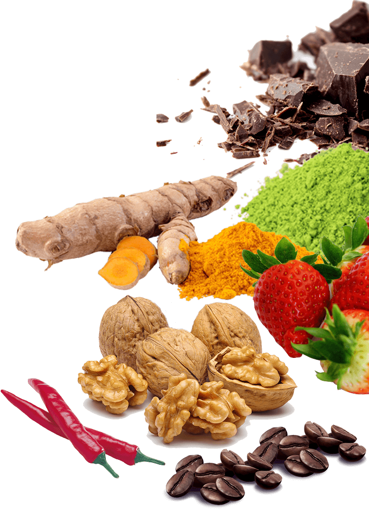 You Can Eat And Lose Weight - Elephant Brand Nut Cracker Tools Stainless Steel Walnut (743x1028), Png Download