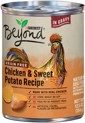 In Gravy Grain Free Chicken & Sweet Potato Recipe In - Purina Beyond Grain Free Turkey & Green Bean Recipe (380x475), Png Download