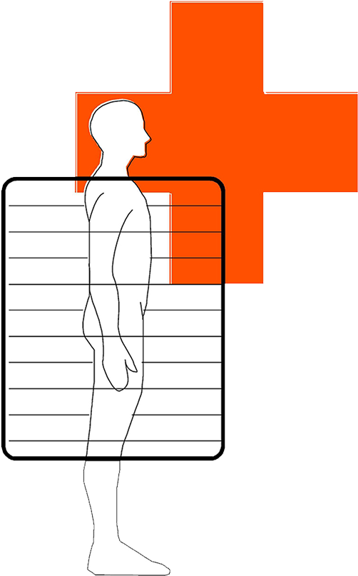 Line Clipart Paper Diagram Png - Illustration (502x807), Png Download