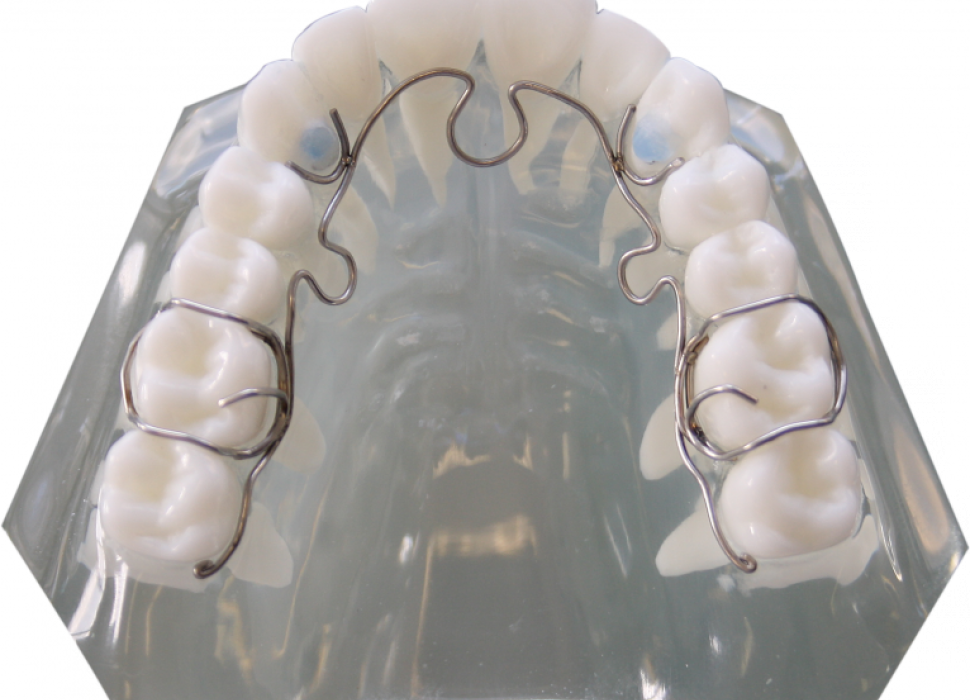Alf - Nimrodental Ltd. (970x700), Png Download
