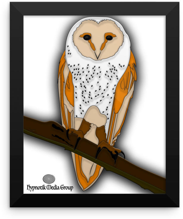 Hypno Owl Part I - Barn Owl (1000x1000), Png Download