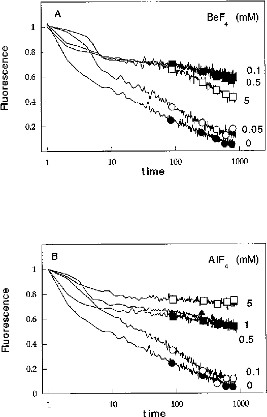 Low Concentrations Of Alf N And Bef N Generate F-actin - Diagram (544x829), Png Download