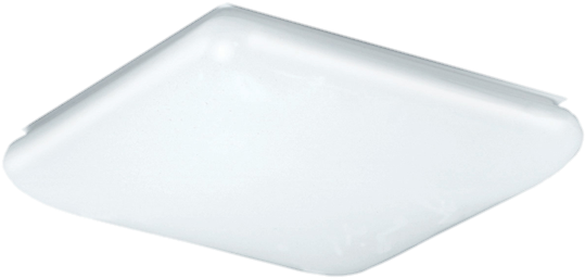 Rigby - Light (800x800), Png Download