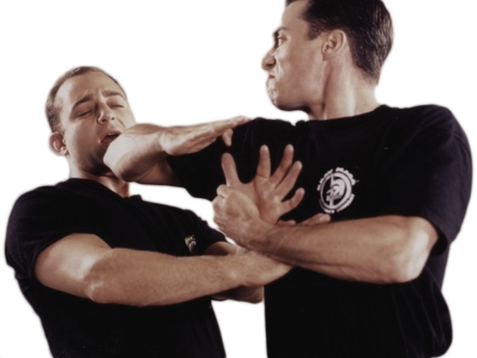 Krav Maga - Krav Maga 66 Success Secrets - 66 Most Asked Questions (961x720), Png Download