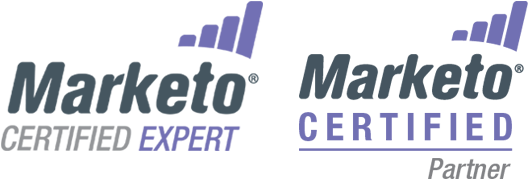 Marketo Banner Expert - Big Marketing Activity Coloring Book (900x200), Png Download