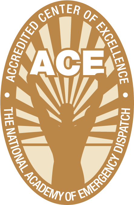 Logo-ace - Iaed Ace (450x684), Png Download