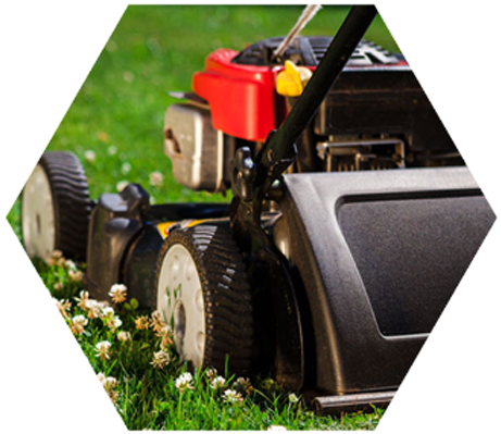 Lawn Care Maintenance Oswego Il - Lawn (530x400), Png Download