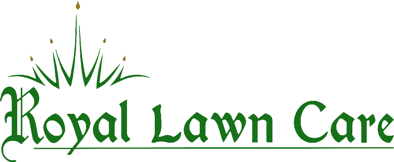 Delaware Eastern Shore Lawn Services Royal Lawn Care - Roxanne Of Dark Energy (1306x538), Png Download