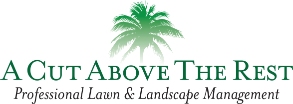 Brevard Lawn Care - A Cut Above The Rest (587x209), Png Download