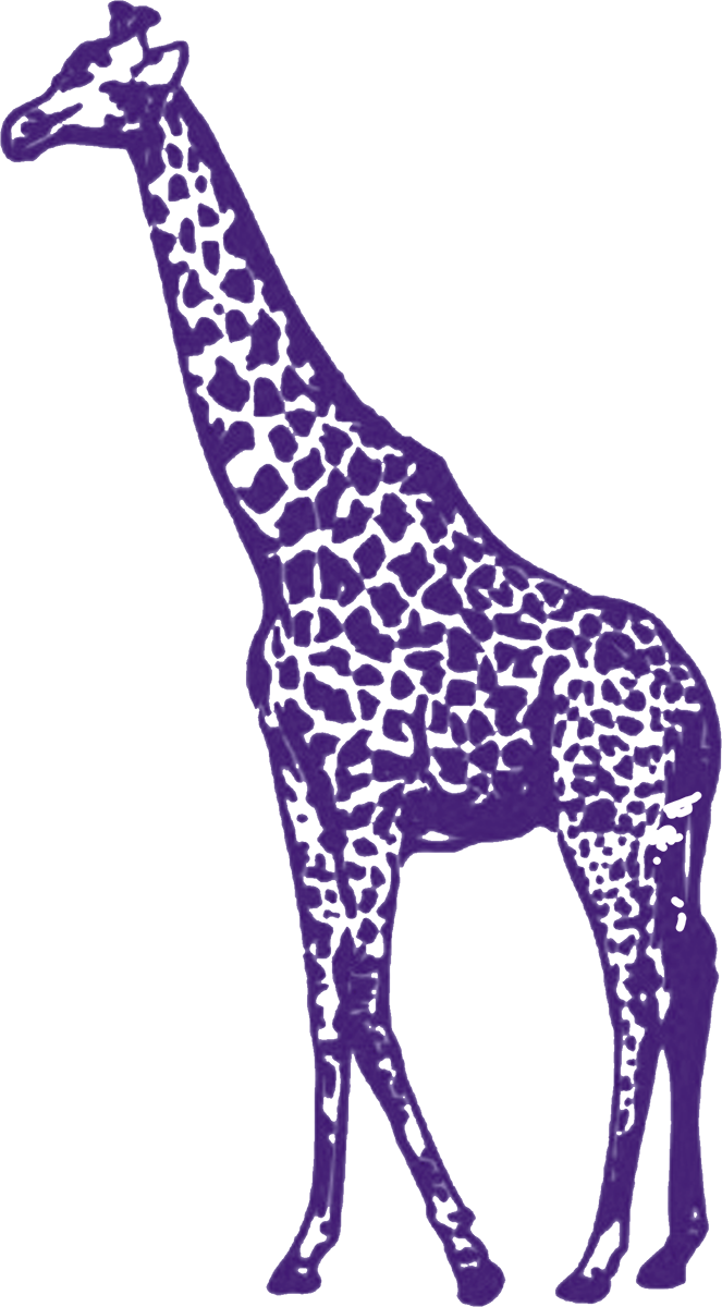 Purple Giraffe - Purple Giraffe Png (663x1200), Png Download