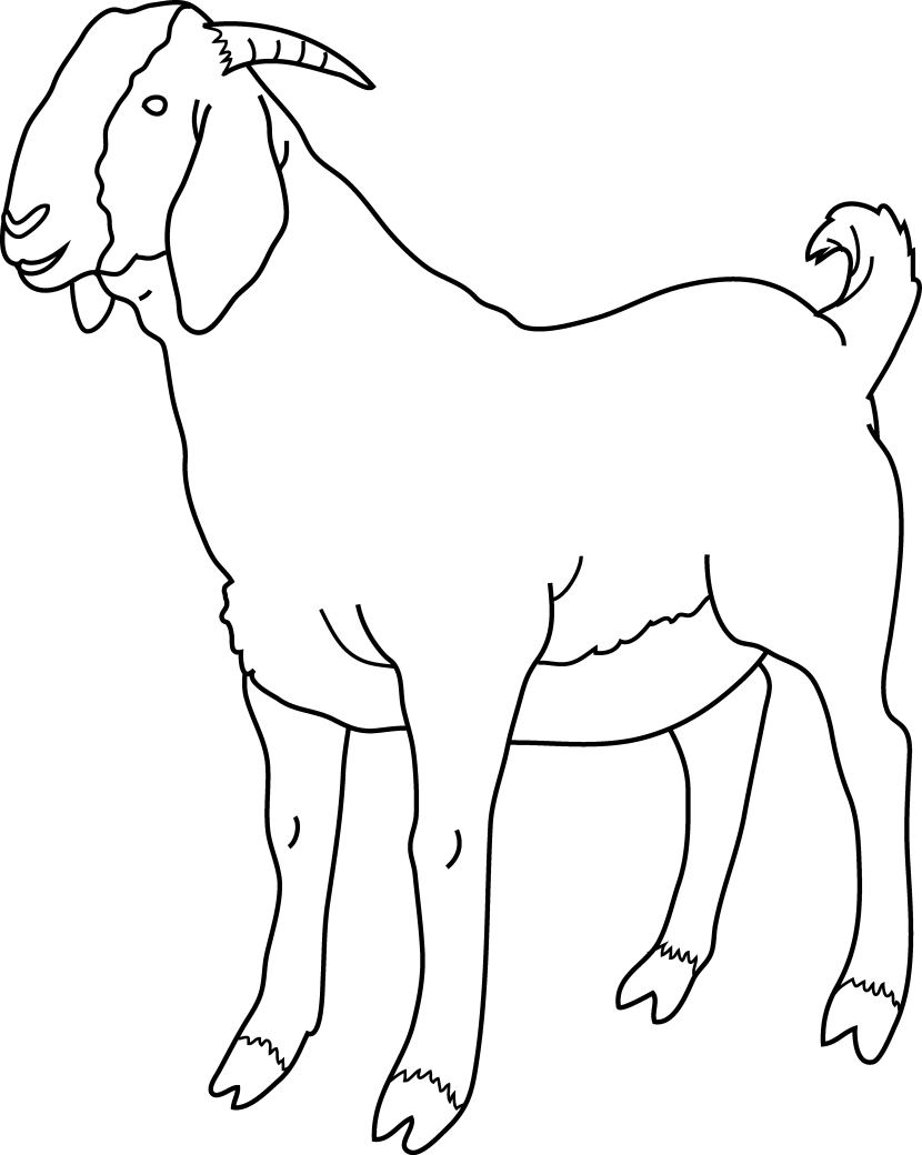Cute Art Images Black And White Wallpaper - He Goat Clipart Black And White (830x1040), Png Download