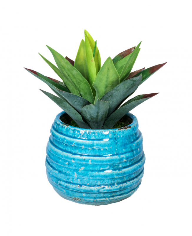 More Views - Flowerpot (800x800), Png Download