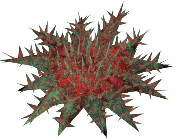 Starfishcrownofthorns Zerosvalmont - Thorns, Spines, And Prickles (600x474), Png Download
