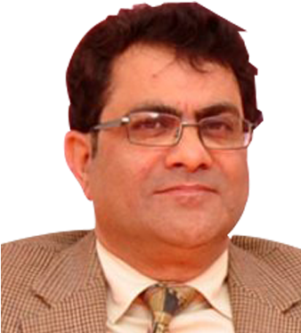 Shaheed Bhagat Singh Evening College University Of - Businessperson (337x383), Png Download