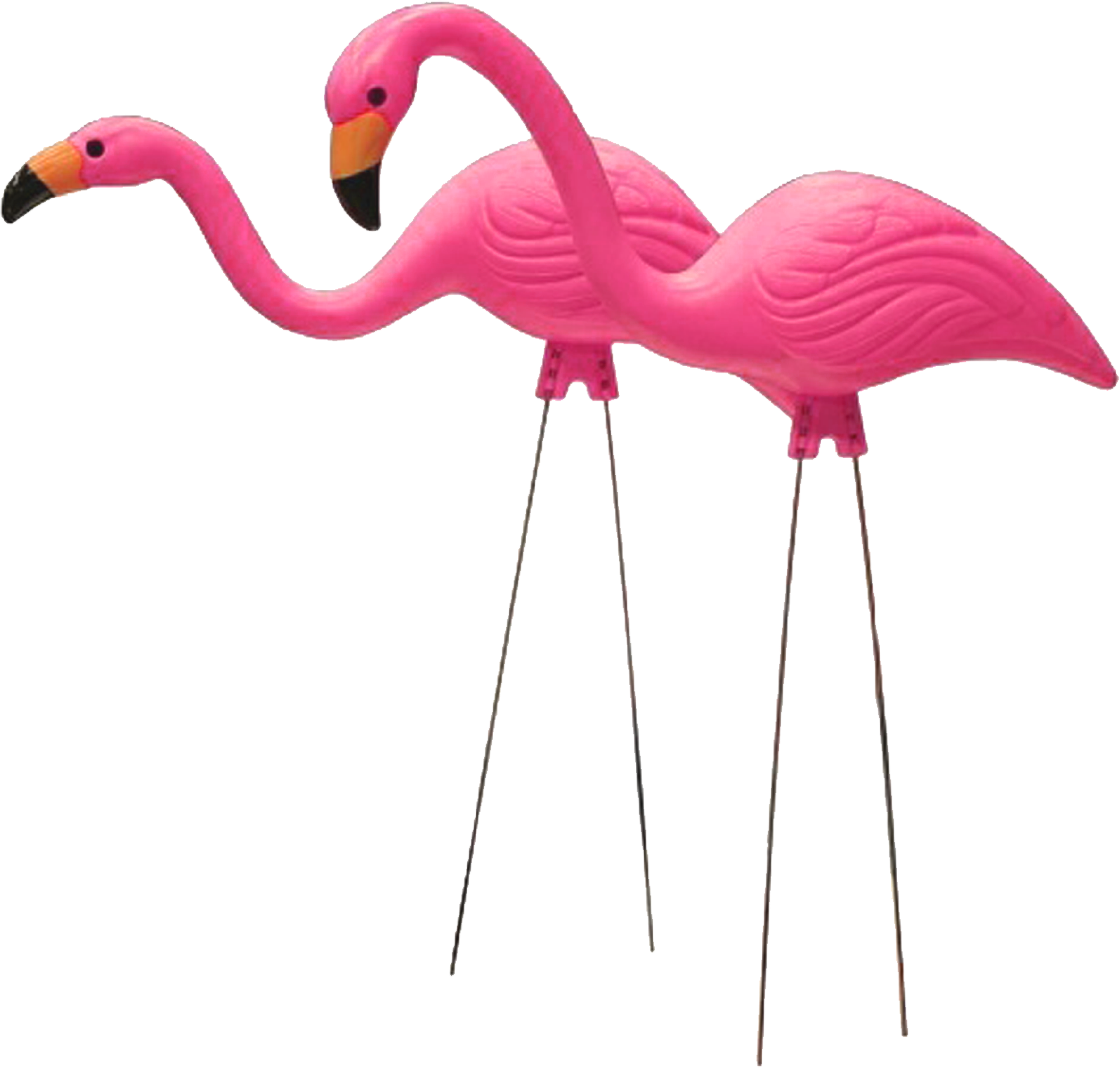 Plastic Pink Flamingo - 26 In. Pink Flamingo (2-pack) (4000x3879), Png Download